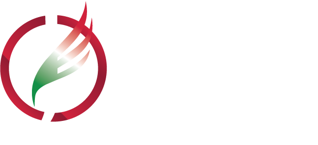 Jet white logo